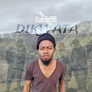 Dikwata
