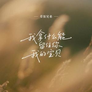 我拿什么能留住你我的宝贝