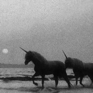 情歌（翻自 简弘亦）