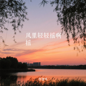 风里轻轻摇啊摇