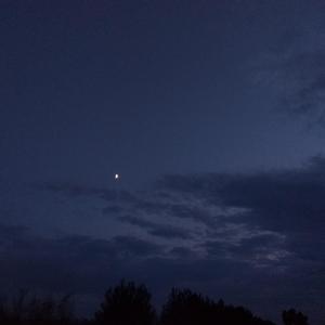 1-纯音（wang remix）