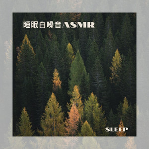 森林溪流声 睡眠 白噪音ASMR