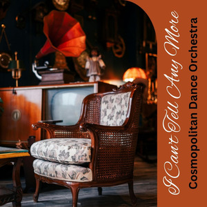 I Can't Tell Any More