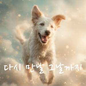 다시 만날 그날까지