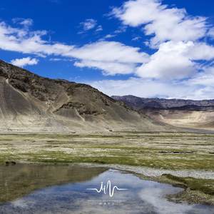 寒光竹影 (舒缓情绪扬琴曲)