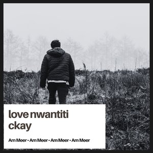 love nwantiti ckay (Piano Rework)