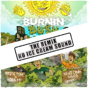 Burning Bush (Rmx) (No Ice Cream Sound Remix D&B)