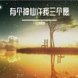 有个神仙许我三个愿@伴奏 (Remix)