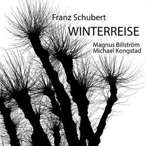 Winterreise, D.911: NO. 9. Irrlicht