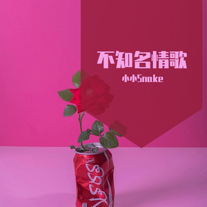 SSr-桃花劫（小小Snake remix）