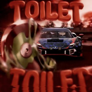 MONTAGEM TOILET