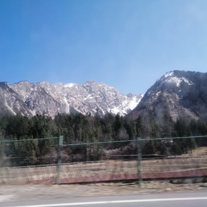 死板的山为你哗然