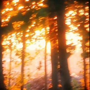 Everything I Never Was