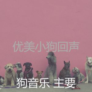 有趣幼犬情怀