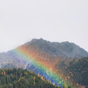 她的双重奏