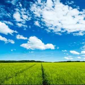 混沌（Prod By LilSiren&Furyl ）