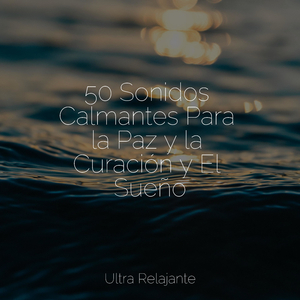 Momentos De Paz