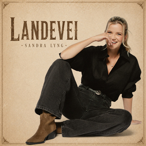 Landevei
