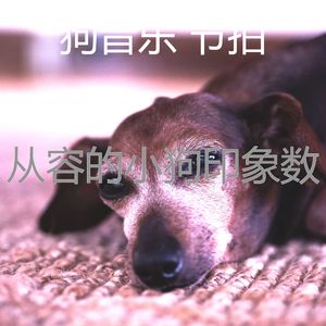 有趣幼犬情怀