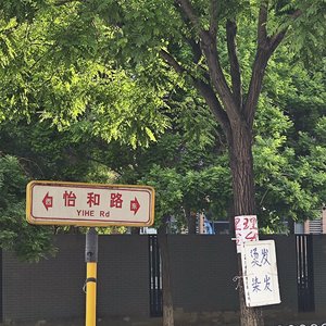 我的美丽（Cover 海洋Bo / 高睿）