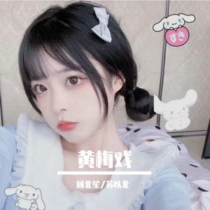 黄梅戏 (抖音DJ版)