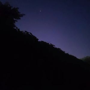 我多想从没爱过你伴奏带和声