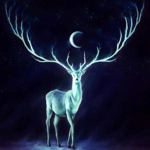 月亮鲸鱼(cover 房东的猫)