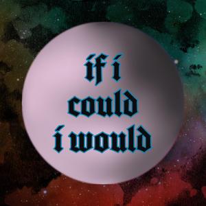 If I Could I Would