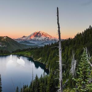 你是谁家内小谁？？？