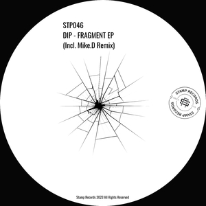 Fragment (Mike D Remix)