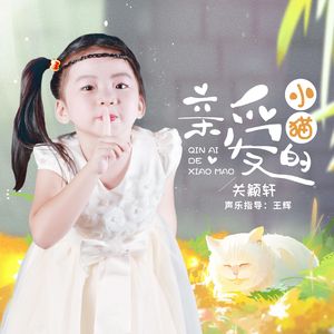 亲爱的小猫