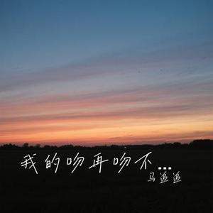 我的吻再吻不到你的唇 (Cover 洋澜一)