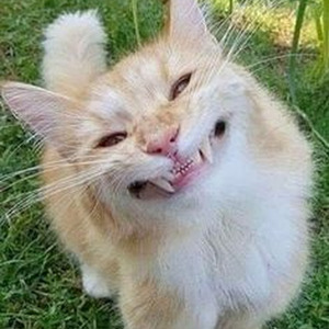 Complicated (sped up)