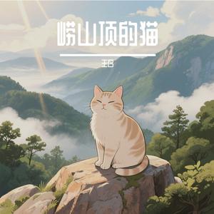 崂山顶的猫
