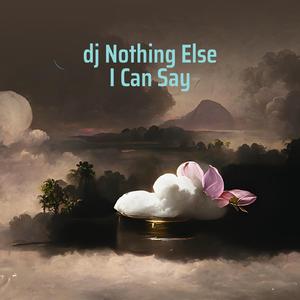 Dj Nothing Else I Can Say
