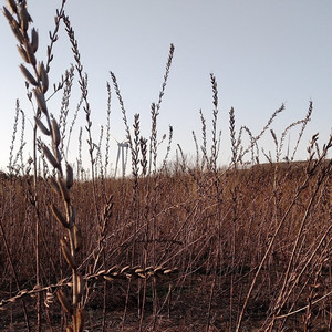 星の嵐 -其之三- (Instrumental)