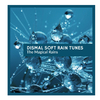 Rain Roots Nature Music - Horrible Rain Aftermath