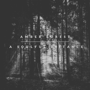 Amber Forest (CPUfriendly Remix)