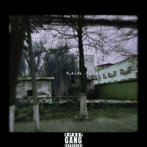 钱即命（No pull shit）