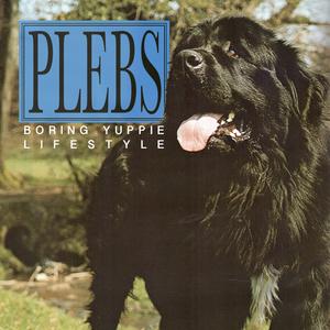 Boring Yuppie Lifestyle