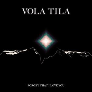Forget That I Love You