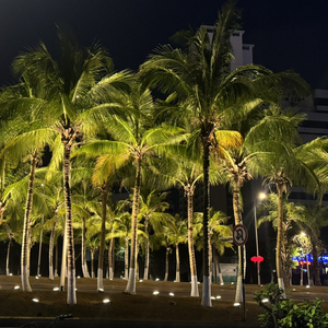 我们再见会是哪年哪月哪一天