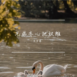 兄弟齐心把权维