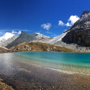 桥边姑娘（cover小狗）