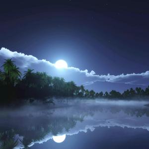 我不是你的宋冬野