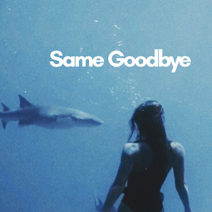 Same Goodbye