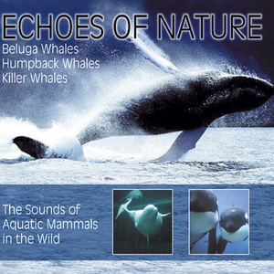 Klänge aus dem Tiefseegraben