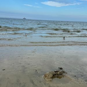 雨落湖面的涟漪