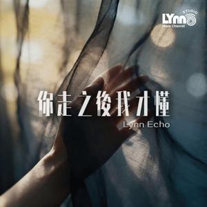 你走之後我才懂