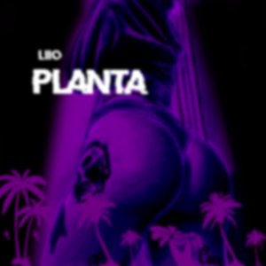 Planta